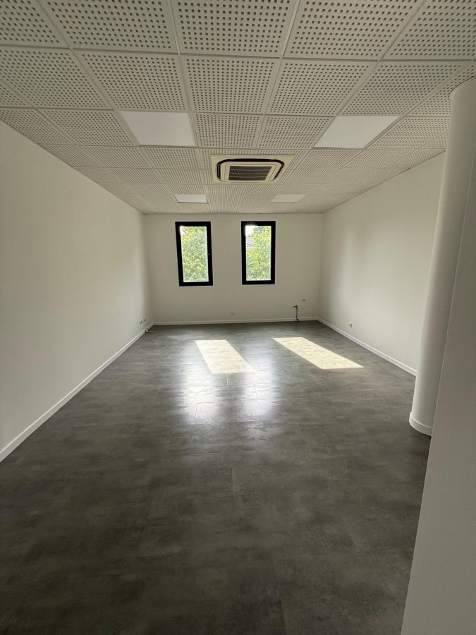 Location local professionnel 27m2